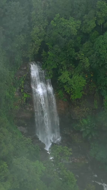 Vertical Aerial View of Misty Waterfall in Sharavathi Valley, Karnataka