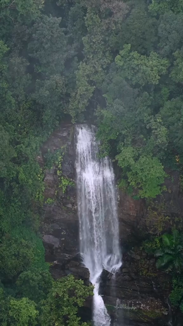 Vertical Aerial View of Misty Waterfall in Sharavathi Valley, Karnataka