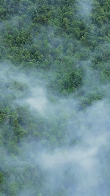 Vertical Aerial View of Monsoon Clouds Over Meghalaya, India