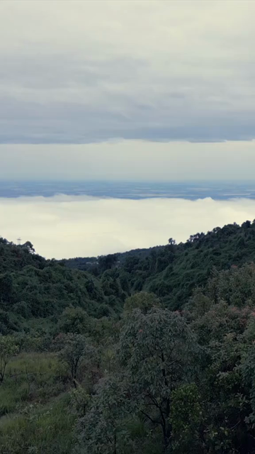 Vertical Aerial View of Monsoon Clouds Over Meghalaya, India