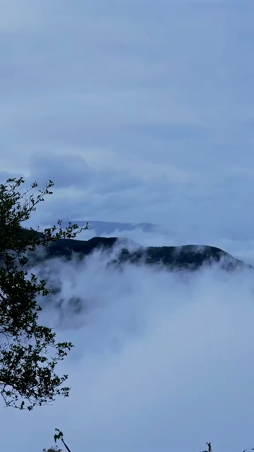 Vertical Aerial View of Monsoon Clouds Over Meghalaya, India