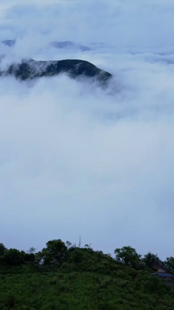 Vertical Aerial View of Monsoon Clouds Over Meghalaya, India