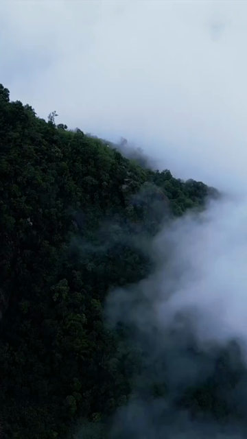 Vertical Aerial View of Monsoon Clouds Over Meghalaya, India