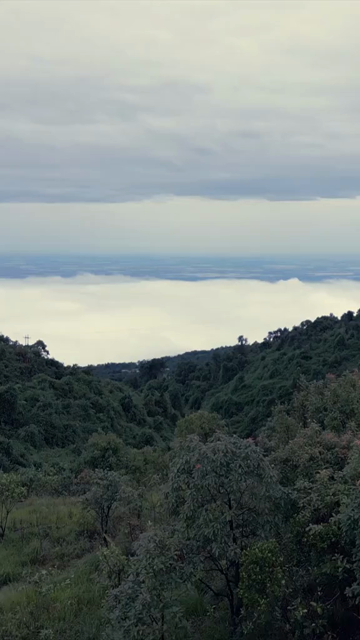 Vertical Aerial View of Monsoon Clouds Over Meghalaya, India