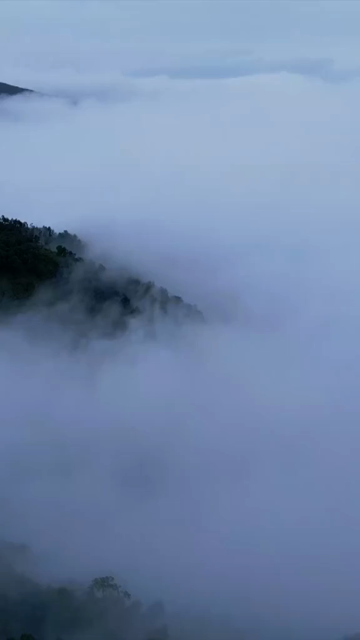 Vertical Aerial View of Monsoon Clouds Over Meghalaya, India