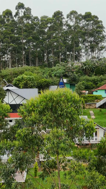 Vertical Aerial View of Scenic Mountain Resort in Kerala