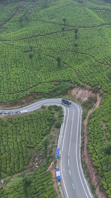 Vertical Aerial View of Scenic Mountain Roads and Tea Plantations in Munnar Kerala India