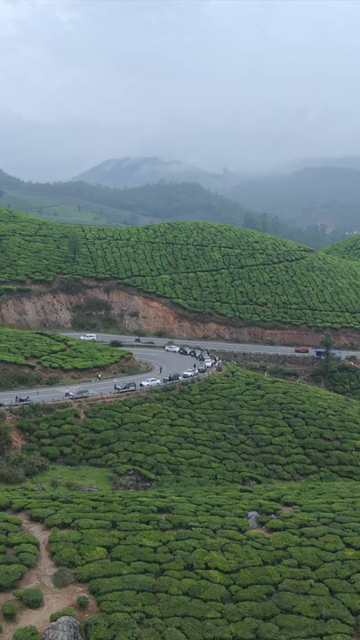Vertical Aerial View of Scenic Mountain Roads and Tea Plantations in Munnar Kerala India