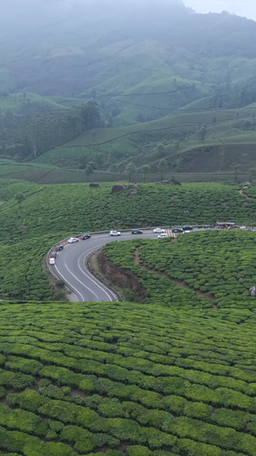 Vertical Aerial View of Scenic Mountain Roads and Tea Plantations in Munnar Kerala India
