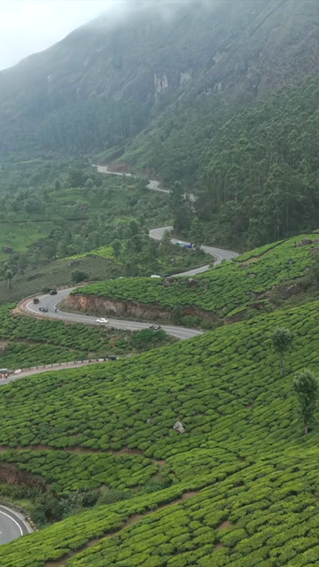 Vertical Aerial View of Scenic Mountain Roads and Tea Plantations in Munnar Kerala India