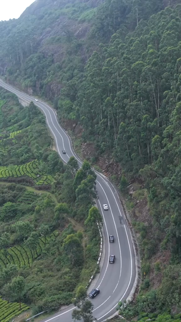 Vertical Aerial View of Scenic Mountain Roads and Tea Plantations in Munnar Kerala India