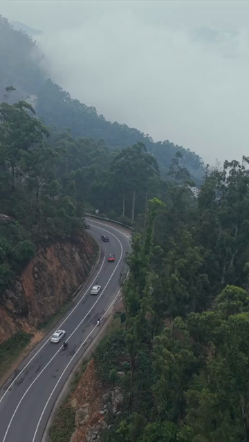 Vertical Aerial View of Scenic Mountain Roads and Tea Plantations in Munnar Kerala India