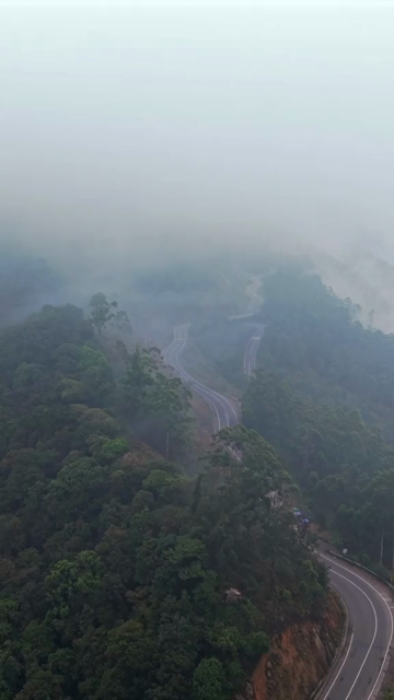Vertical Aerial View of Scenic Mountain Roads and Tea Plantations in Munnar Kerala India