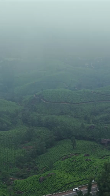 Vertical Aerial View of Scenic Mountain Roads and Tea Plantations in Munnar Kerala India