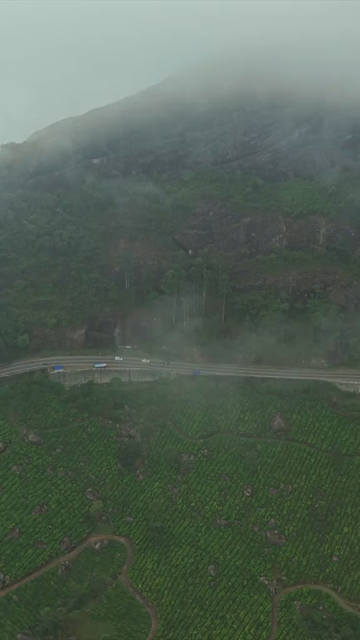 Vertical Aerial View of Scenic Mountain Roads and Tea Plantations in Munnar Kerala India