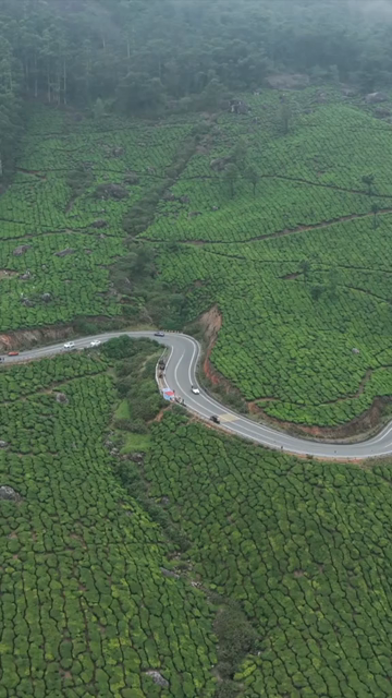 Vertical Aerial View of Scenic Mountain Roads and Tea Plantations in Munnar Kerala India
