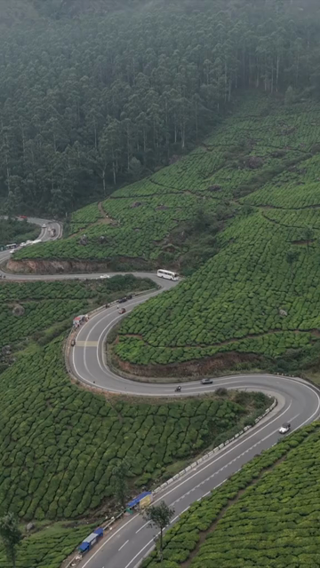 Vertical Aerial View of Scenic Mountain Roads and Tea Plantations in Munnar Kerala India