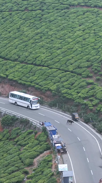 Vertical Aerial View of Scenic Mountain Roads and Tea Plantations in Munnar Kerala India