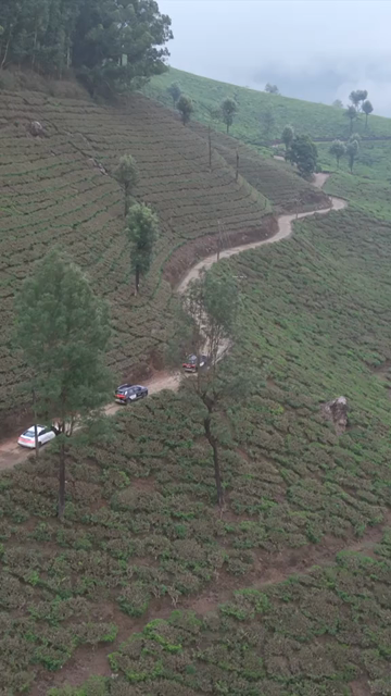 Vertical Aerial View of Scenic Mountain Roads and Tea Plantations in Munnar Kerala India