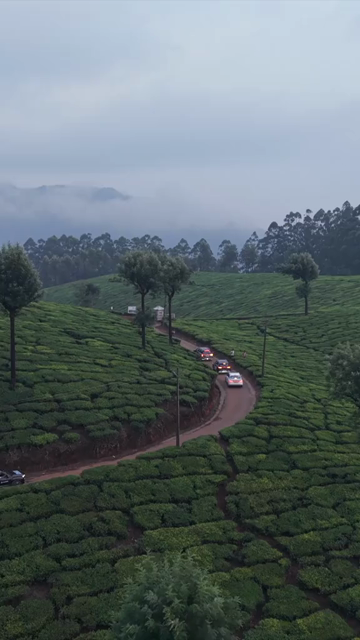 Vertical Aerial View of Scenic Mountain Roads and Tea Plantations in Munnar Kerala India