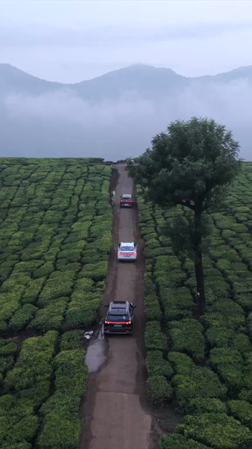 Vertical Aerial View of Scenic Mountain Roads and Tea Plantations in Munnar Kerala India