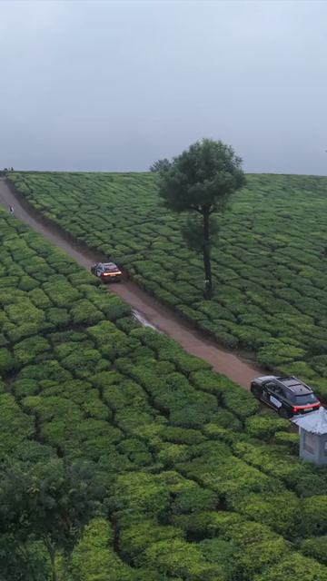 Vertical Aerial View of Scenic Mountain Roads and Tea Plantations in Munnar Kerala India