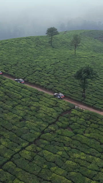 Vertical Aerial View of Scenic Mountain Roads and Tea Plantations in Munnar Kerala India