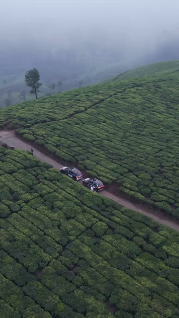 Vertical Aerial View of Scenic Mountain Roads and Tea Plantations in Munnar Kerala India