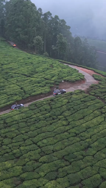 Vertical Aerial View of Scenic Mountain Roads and Tea Plantations in Munnar Kerala India