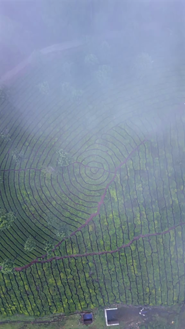 Vertical Aerial View of Scenic Mountain Roads and Tea Plantations in Munnar Kerala India