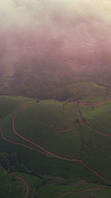 Vertical Aerial View of Scenic Mountain Roads and Tea Plantations in Munnar Kerala India
