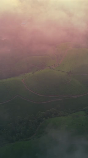 Vertical Aerial View of Scenic Mountain Roads and Tea Plantations in Munnar Kerala India