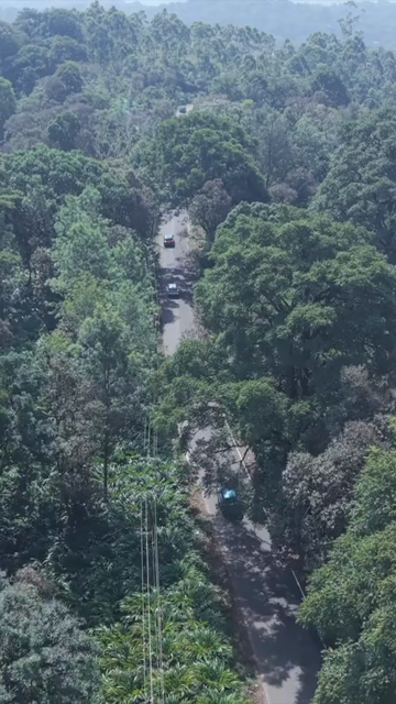 Vertical Aerial View of Scenic Mountain Roads and Tea Plantations in Munnar Kerala India