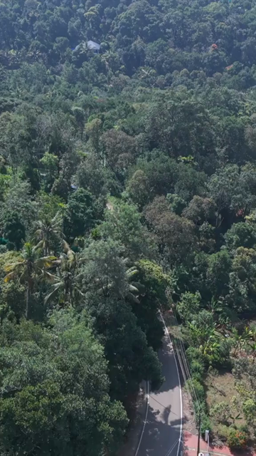 Vertical Aerial View of Scenic Mountain Roads and Tea Plantations in Munnar Kerala India