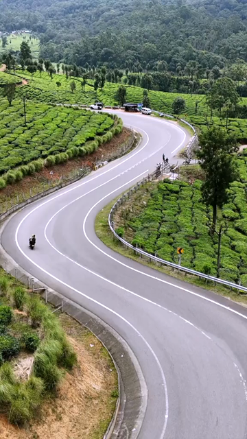Vertical Aerial View of Scenic Mountain Roads and Tea Plantations in Munnar Kerala India