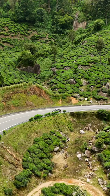 Vertical Aerial View of Scenic Mountain Roads and Tea Plantations in Munnar Kerala India