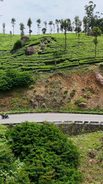 Vertical Aerial View of Scenic Mountain Roads and Tea Plantations in Munnar Kerala India