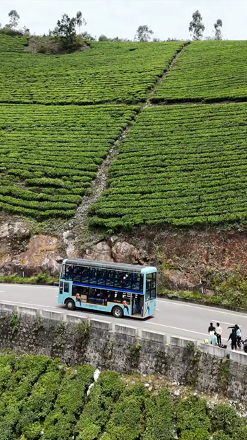 Vertical Aerial View of Scenic Mountain Roads and Tea Plantations in Munnar Kerala India