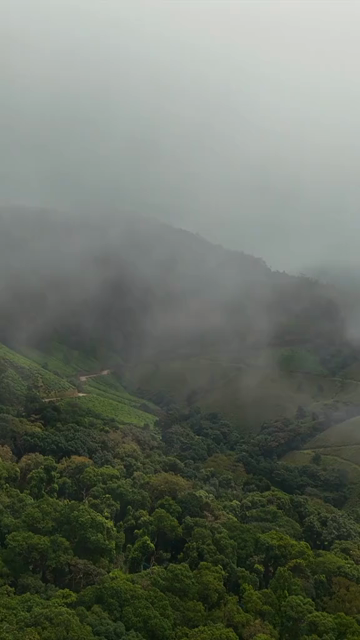 Vertical Aerial View of Scenic Mountain Roads and Tea Plantations in Munnar Kerala India