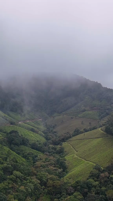 Vertical Aerial View of Scenic Mountain Roads and Tea Plantations in Munnar Kerala India