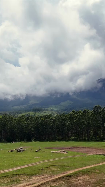 Vertical Aerial View of Scenic Mountain Roads and Tea Plantations in Munnar Kerala India