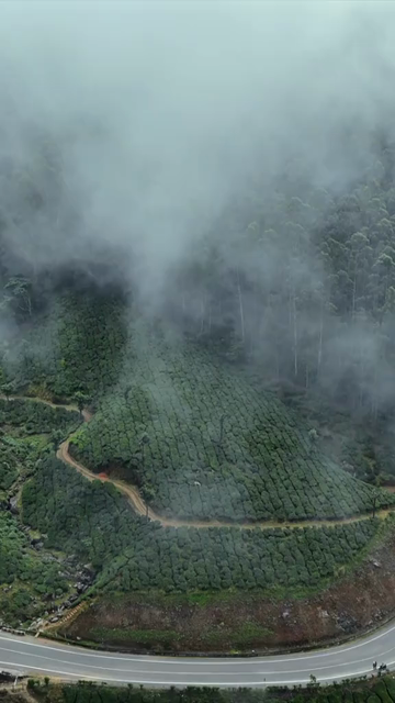 Vertical Aerial View of Scenic Mountain Roads and Tea Plantations in Munnar Kerala India