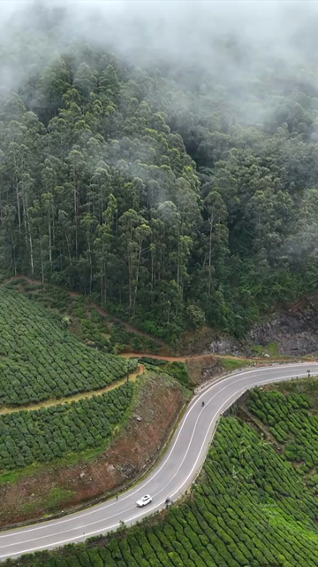 Vertical Aerial View of Scenic Mountain Roads and Tea Plantations in Munnar Kerala India