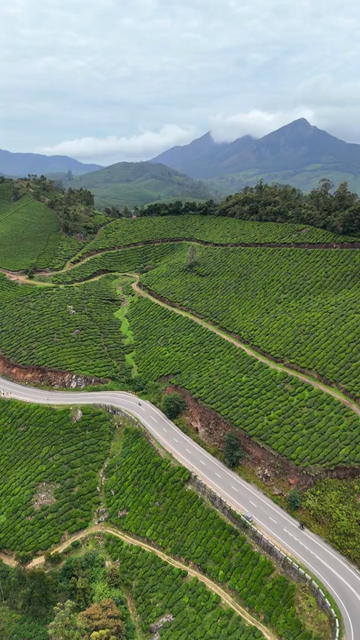 Vertical Aerial View of Scenic Mountain Roads and Tea Plantations in Munnar Kerala India