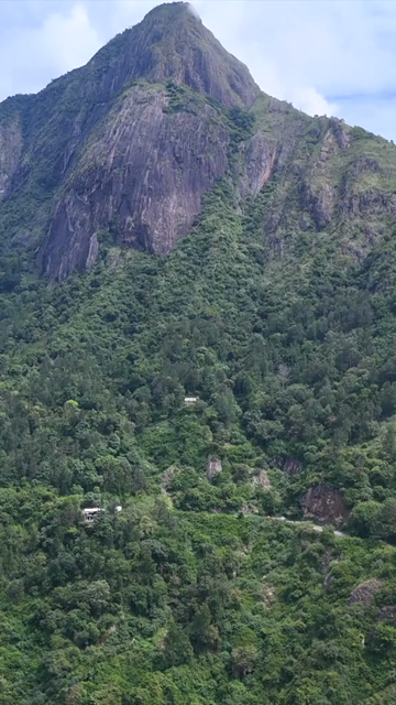 Vertical Aerial View of Scenic Mountain Roads and Tea Plantations in Munnar Kerala India