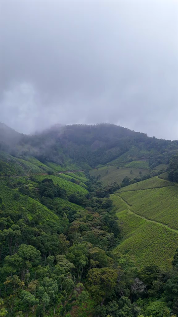 Vertical Aerial View of Scenic Mountain Roads and Tea Plantations in Munnar Kerala India