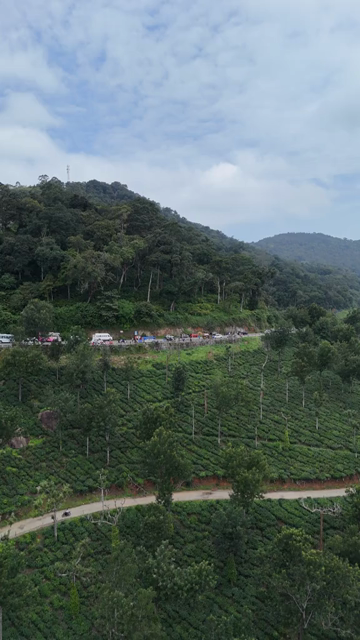 Vertical Aerial View of Scenic Mountain Roads and Tea Plantations in Munnar Kerala India