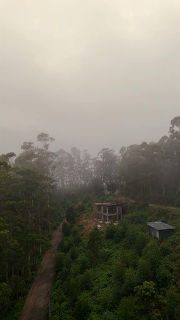 Vertical Aerial View of Scenic Mountain Roads and Tea Plantations in Munnar Kerala India