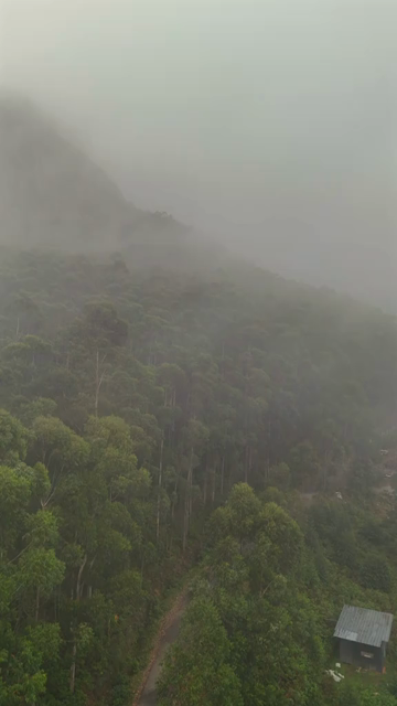 Vertical Aerial View of Scenic Mountain Roads and Tea Plantations in Munnar Kerala India