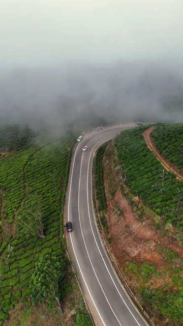 Vertical Aerial View of Scenic Mountain Roads and Tea Plantations in Munnar Kerala India